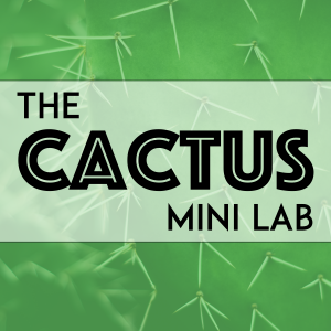 2023 Cactus