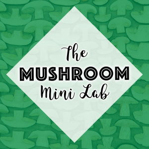 Mini Lab 32 - Mushrooms