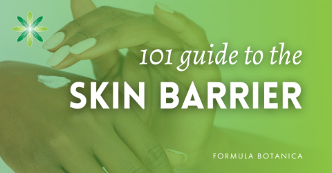 Skin Barrier 101: essential guide for natural cosmetic formulators