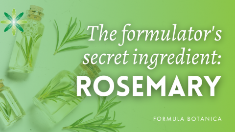Rosemary: the formulator’s secret cosmetic ingredient