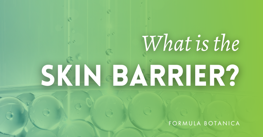 what is the skin barrier