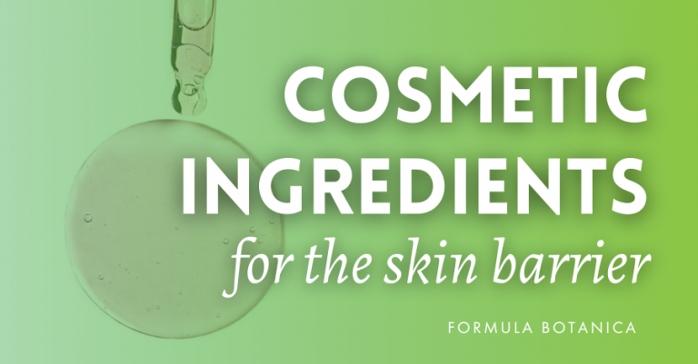 Skin Barrier 101: essential guide for natural cosmetic formulators 