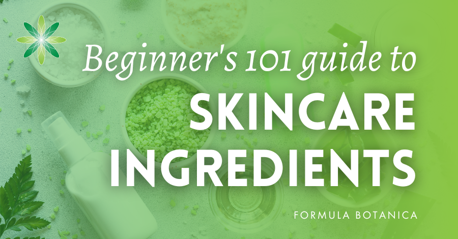 beginner's guide to skincare ingredients