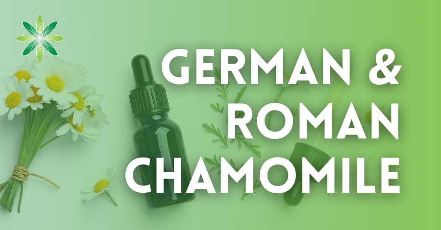 differences roman german chamomile
