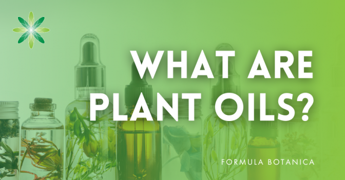 Natural formulation 101: Beginner's guide to skincare ingredients ...