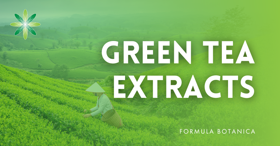 Green tea extracts in cosmetics