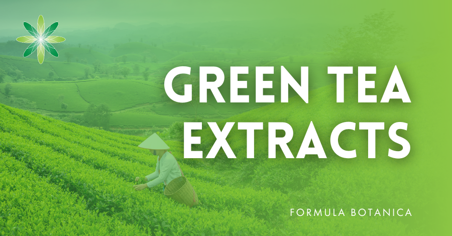 Leaf to Lotion: the benefits of green tea in cosmetics - Formula Botanica