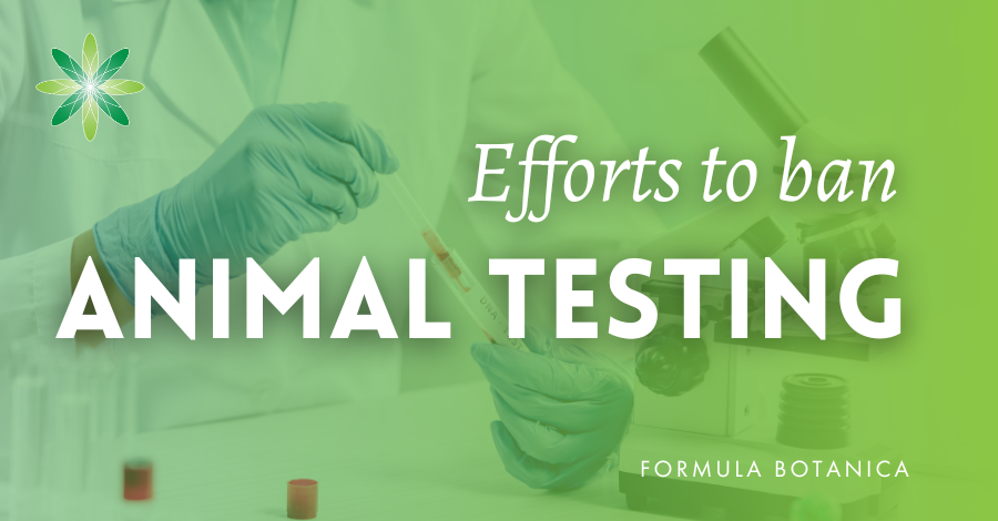 countries banning animal testing of cosmetics
