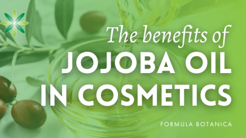 Jojoba: Unlocking its benefits in Cosmetic Formulations