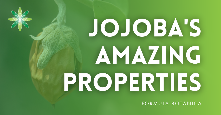 jojoba skincare properties