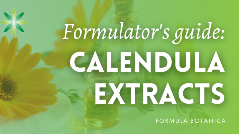 Calendula Extracts: Formulating Their Benefits Into Natural Cosmetics