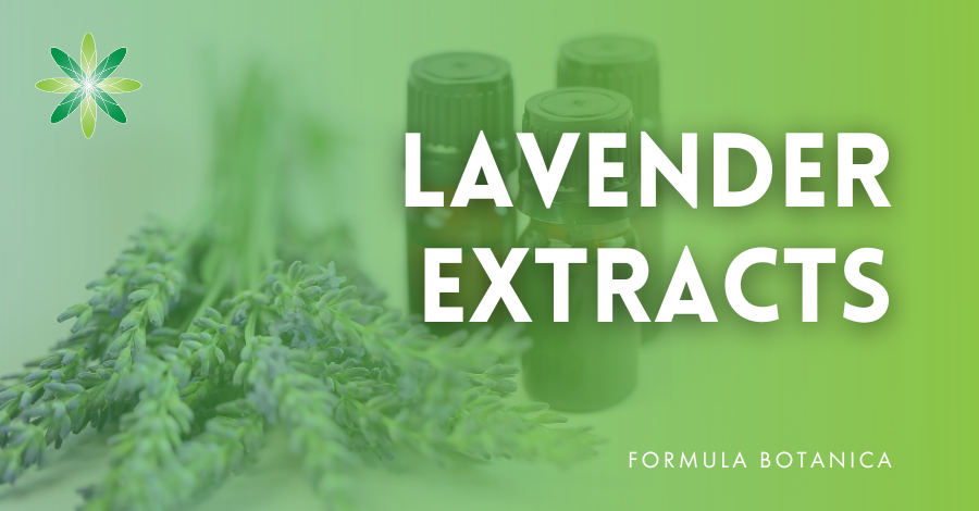 Lavender – The Plant and its Use in Skin Care