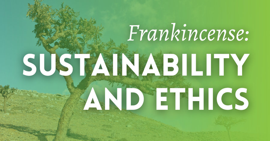  Frankincense in beauty sustainability and ethical use