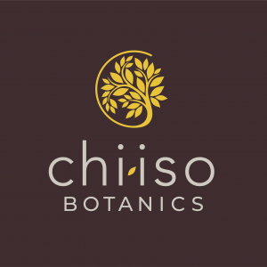 Chiiso_text_and_logo_3_small