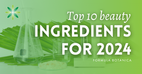 Beauty news: your exclusive to the top 10 ingredients for 2024