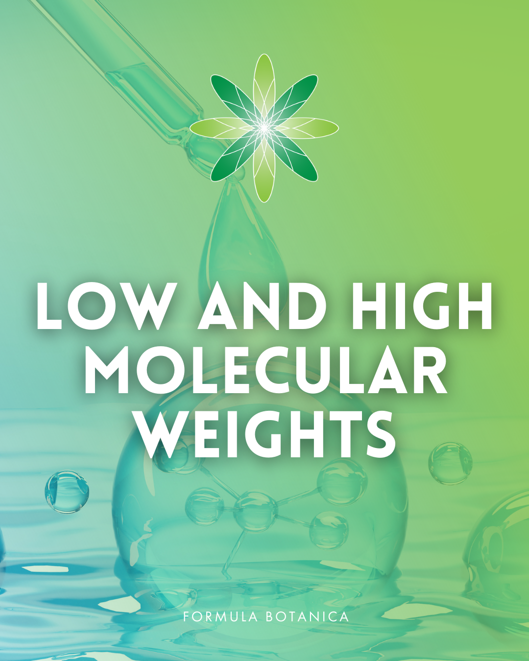 Low vs high molecular weigh hyaluronic acid