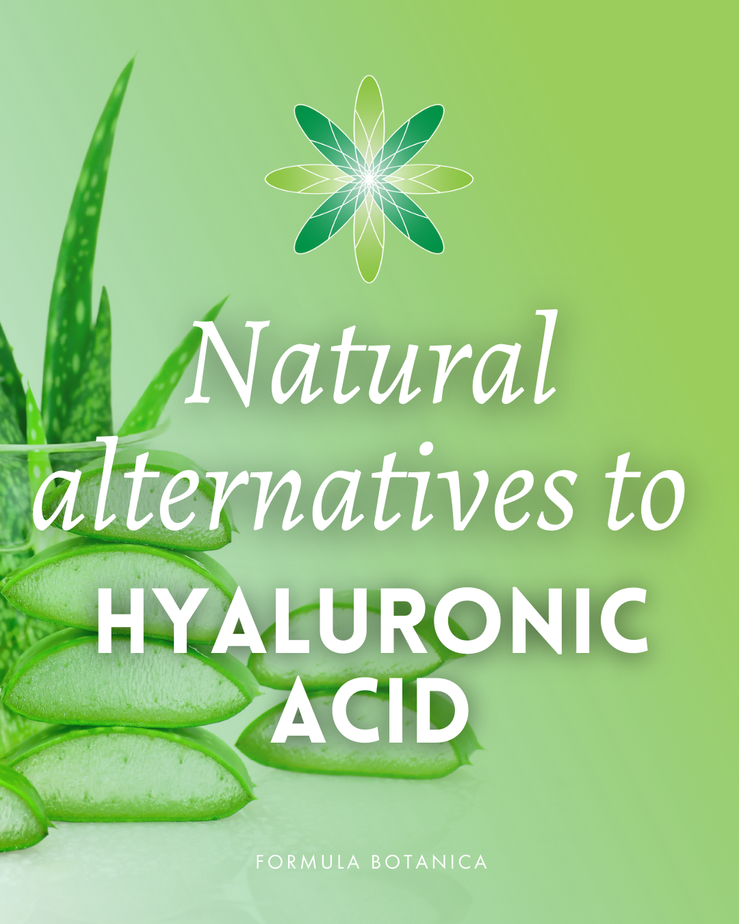 natural alternatives to hyaluronic acid