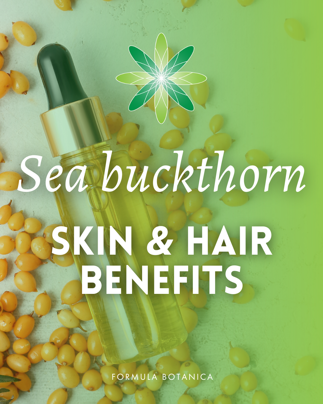 Sub-Zero Hero: The Benefits of Sea Buckthorn Oil for Skin & Hair ...