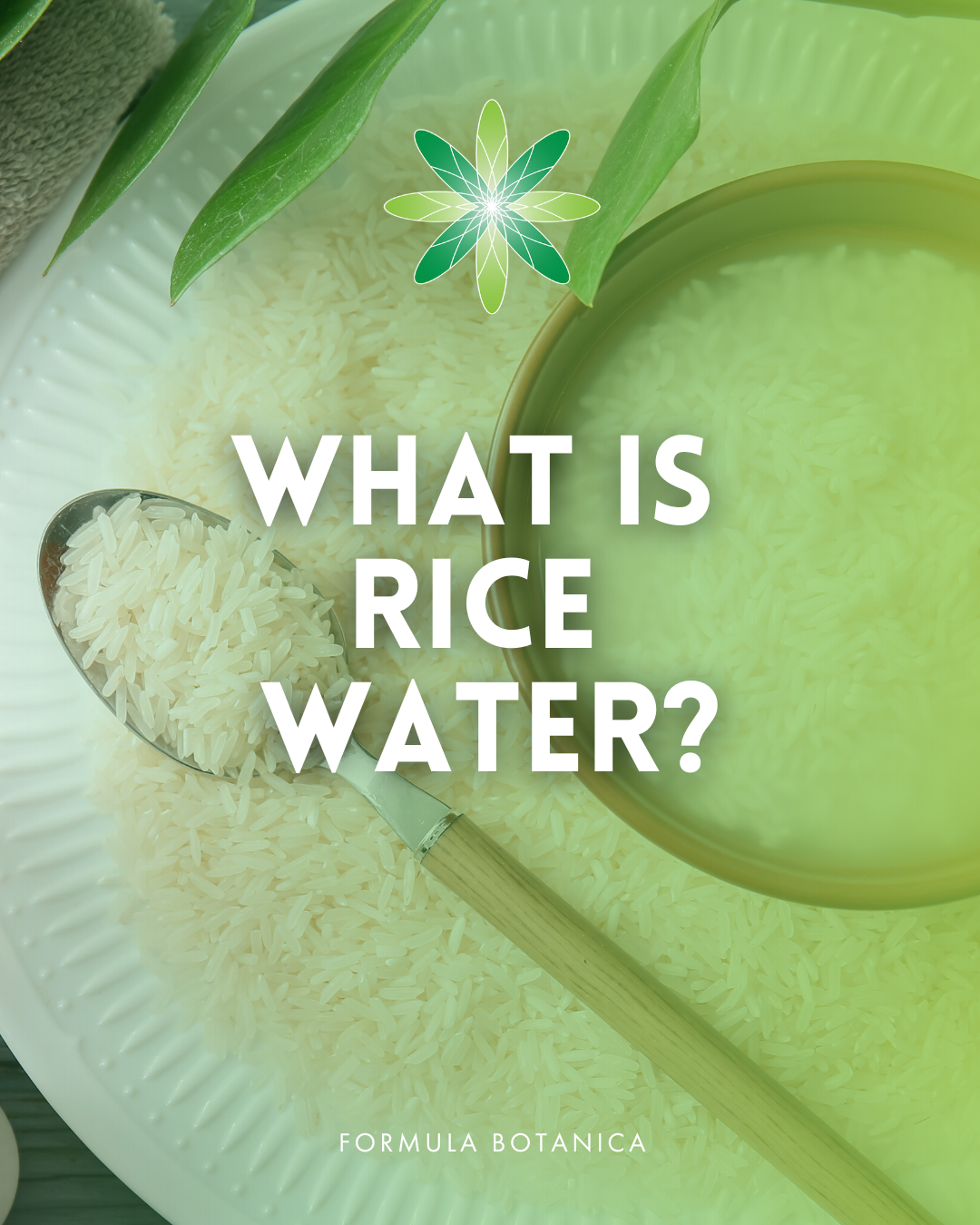 Rice Water: Untap Its Potential in Your Cosmetic Formulations