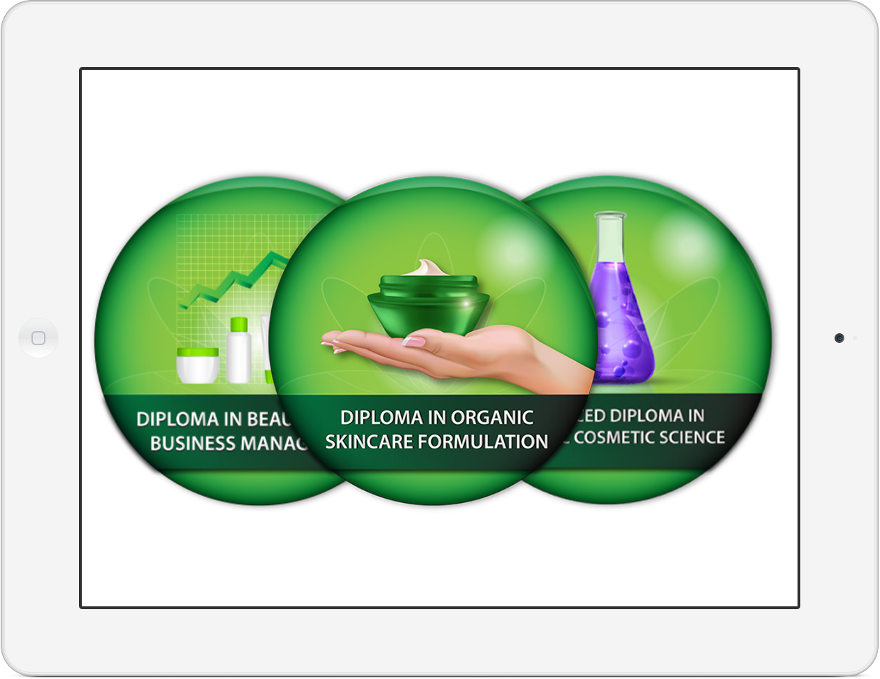 The International Organic Skincare Entrepreneur Program