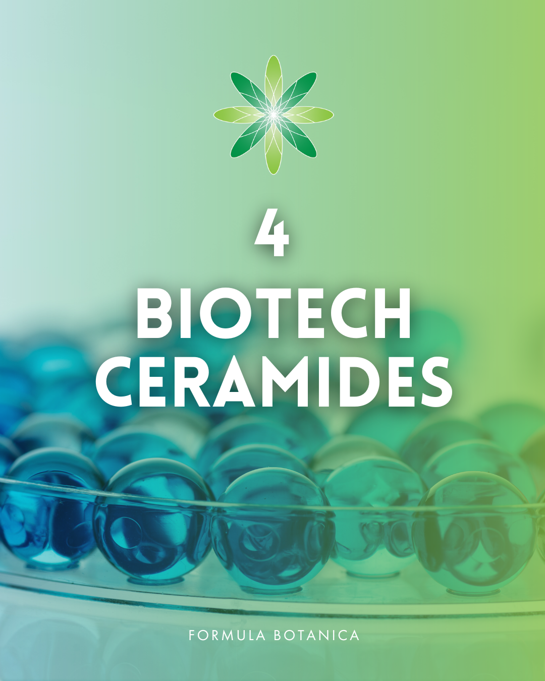 Everything you need to know about ceramides – And how to formulate with them