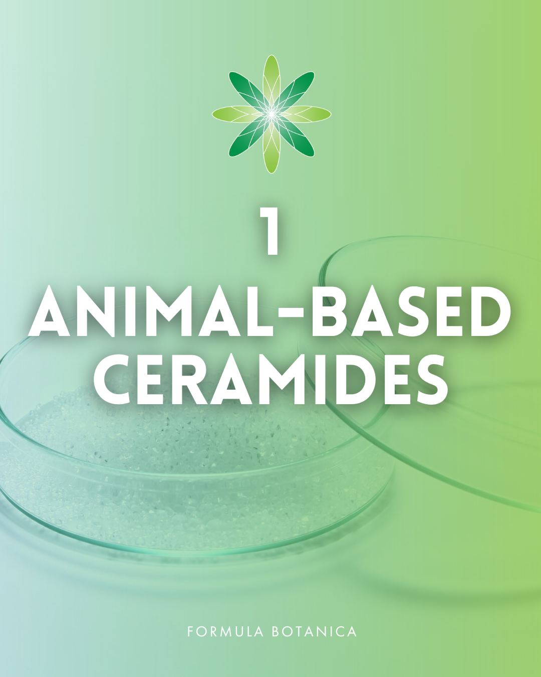 Everything you need to know about ceramides – And how to formulate with them
