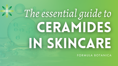 Everything you need to know about ceramides – And how to formulate with them