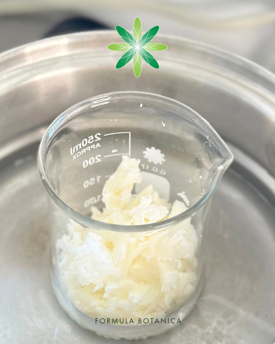 Is tallow really worth the hype? (And how to make your own tallow balm)