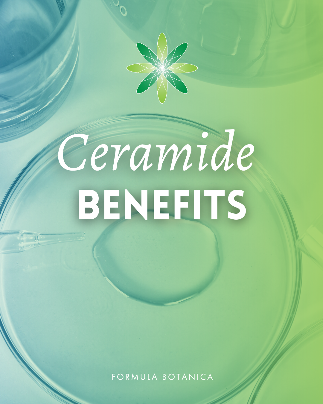 Everything you need to know about ceramides – And how to formulate with them