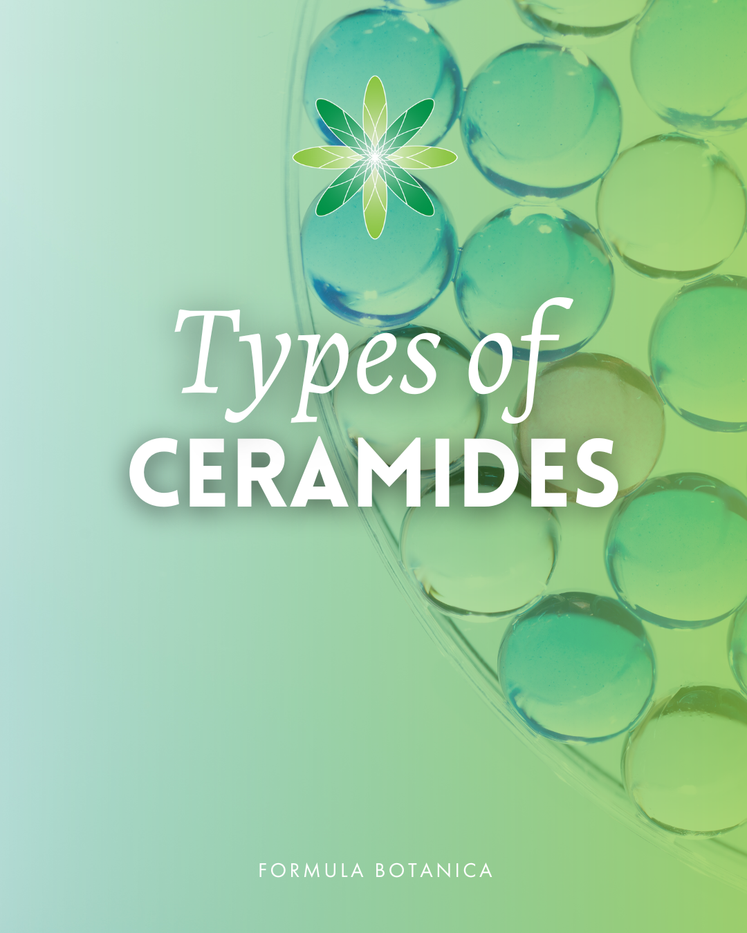 Everything you need to know about ceramides – And how to formulate with them