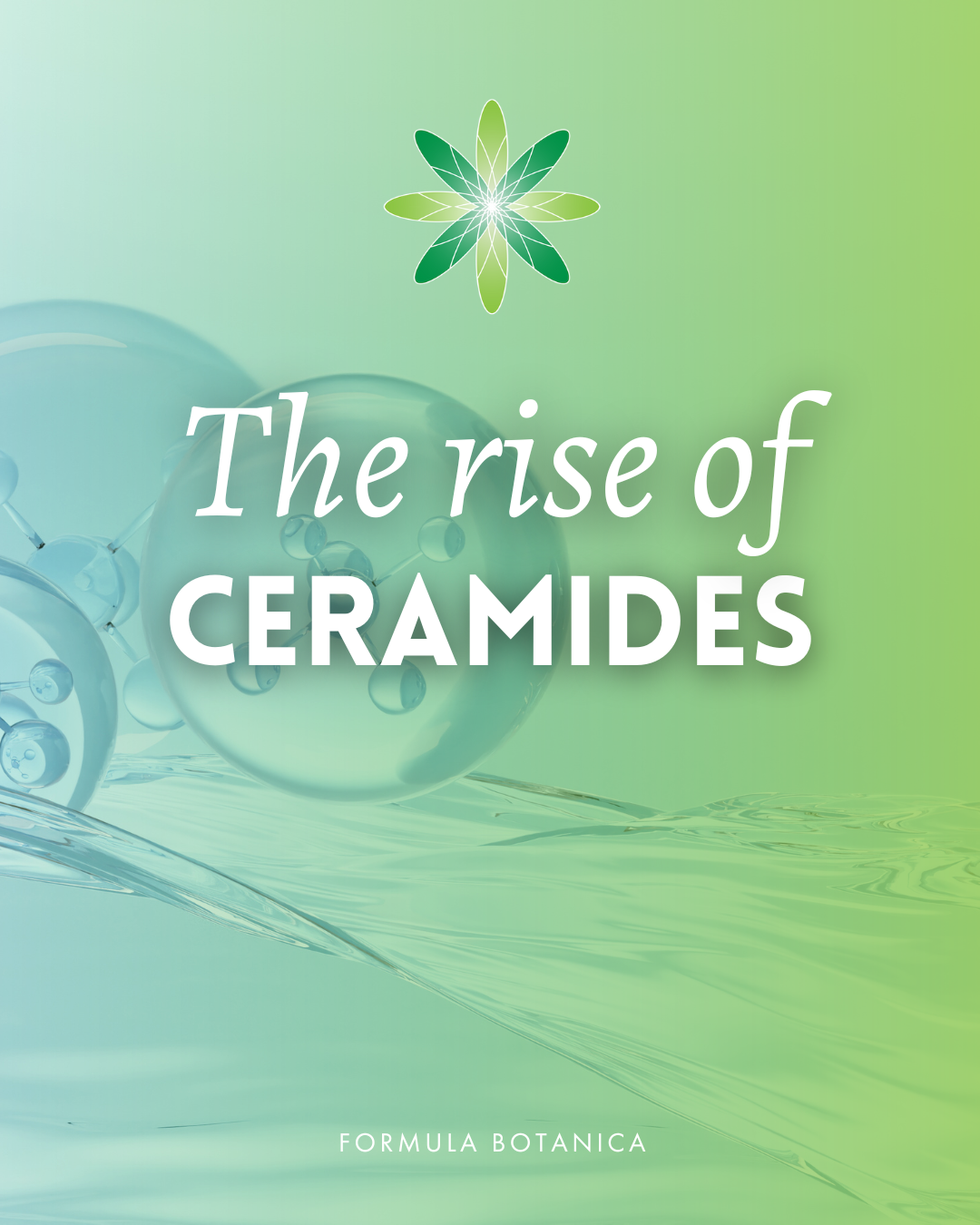 Everything you need to know about ceramides – And how to formulate with them