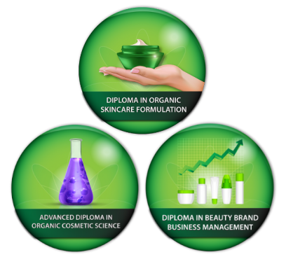 Enrolment - Courses all in 1 graphic