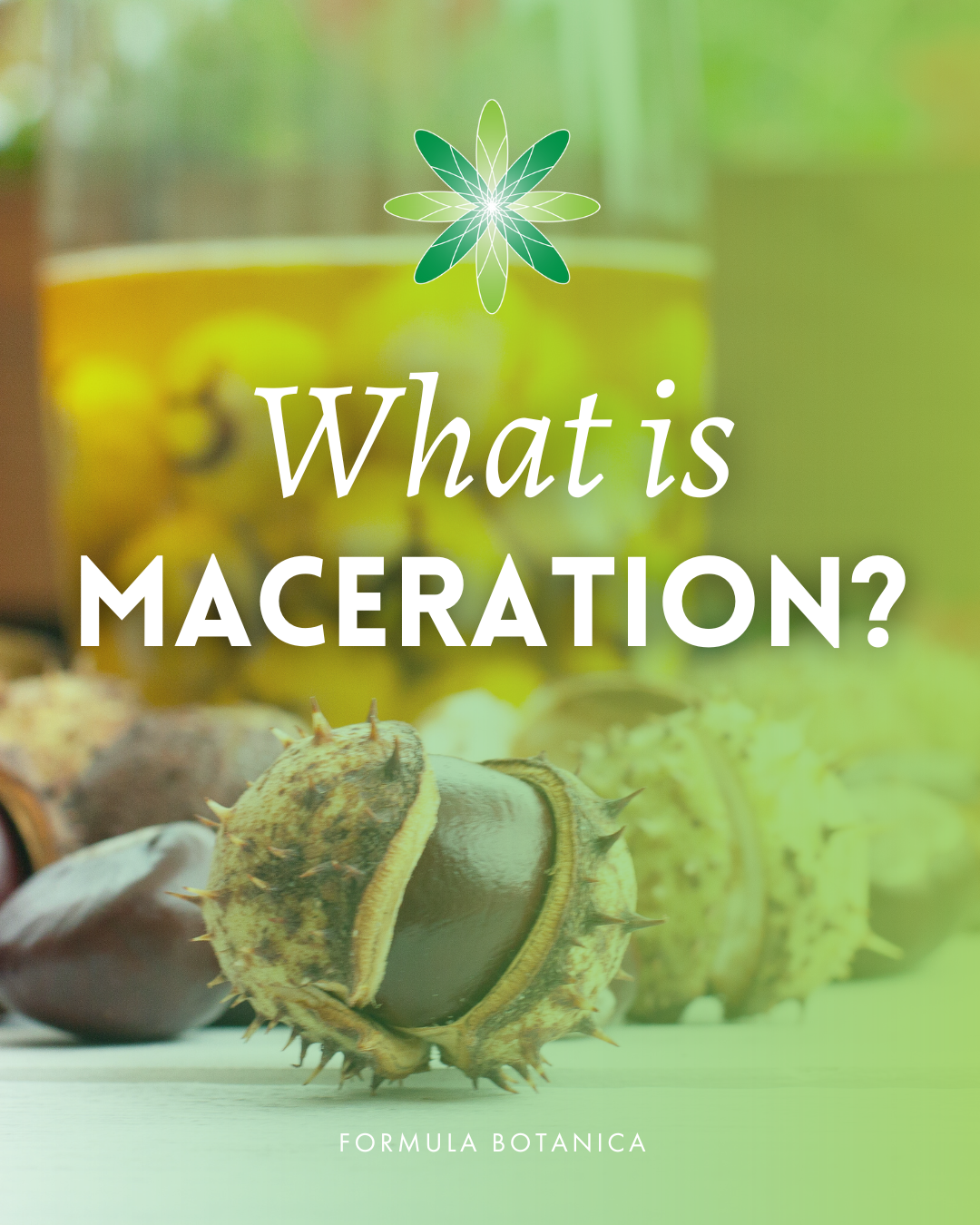 How to make macerated oils