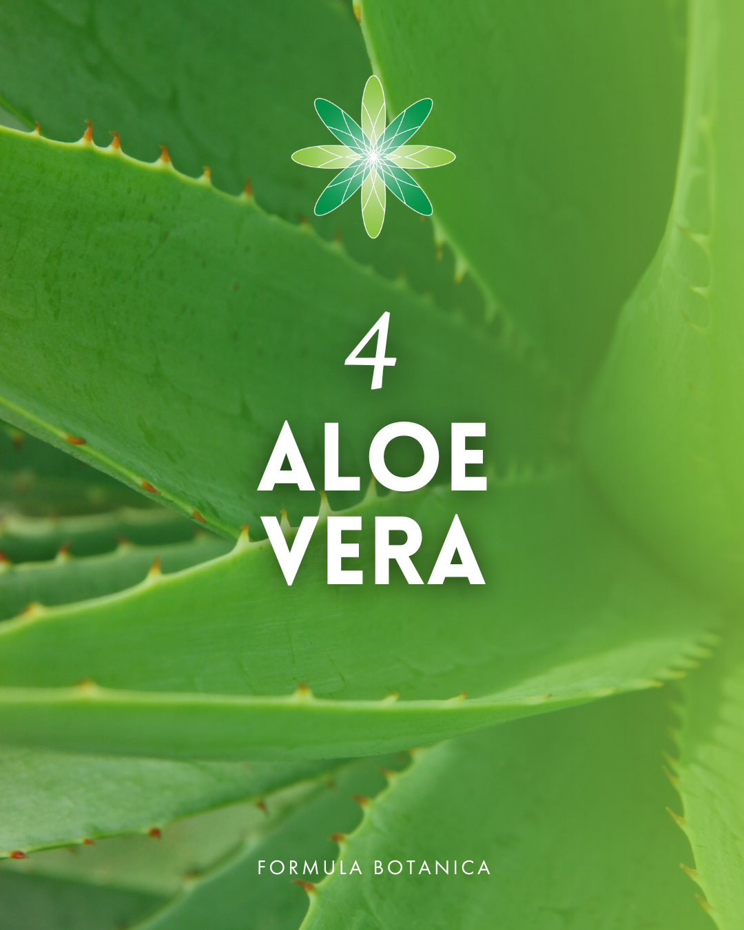 Top 5 ingredients to use in your water-based serums