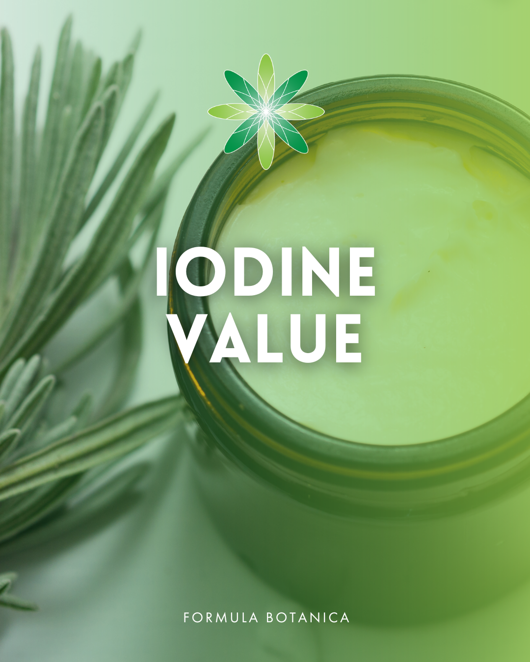 The chemist&#8217;s guide to checking plant oils for heat sensitivity