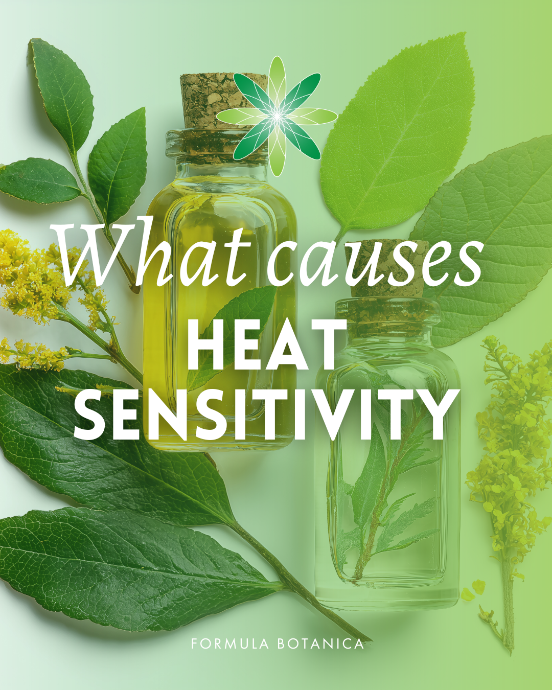 The chemist&#8217;s guide to checking plant oils for heat sensitivity