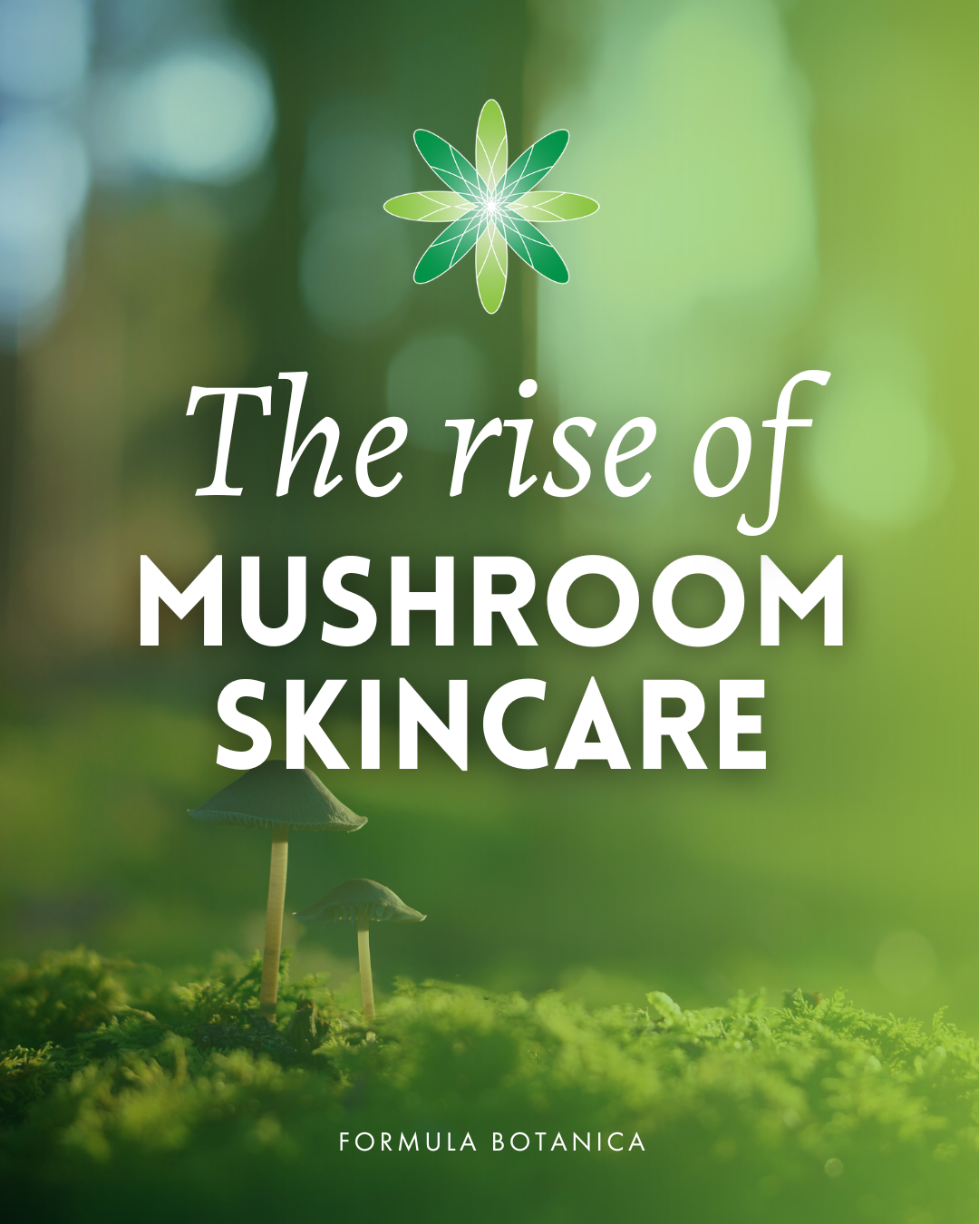 Your ultimate guide to formulating with mushroom extracts