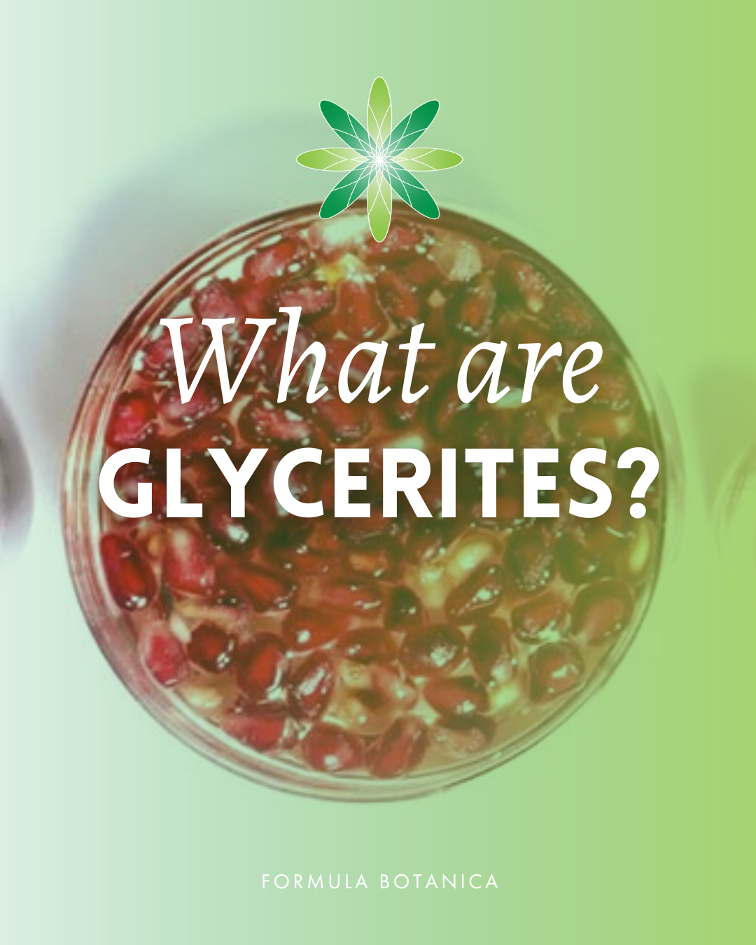 The formulator&#8217;s ultimate guide to glycerites (what they are &#038; how to use them)