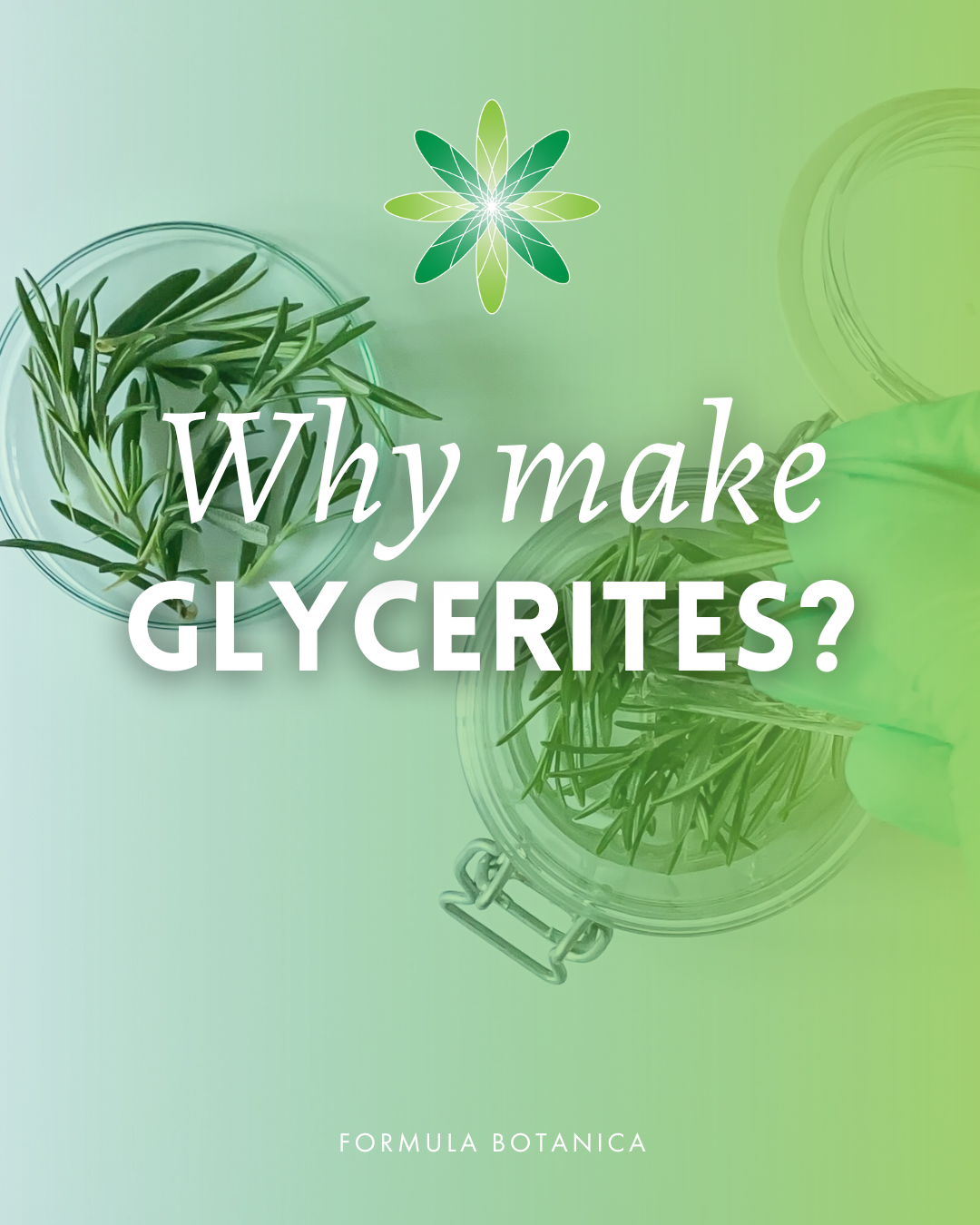 The formulator&#8217;s ultimate guide to glycerites (what they are &#038; how to use them)