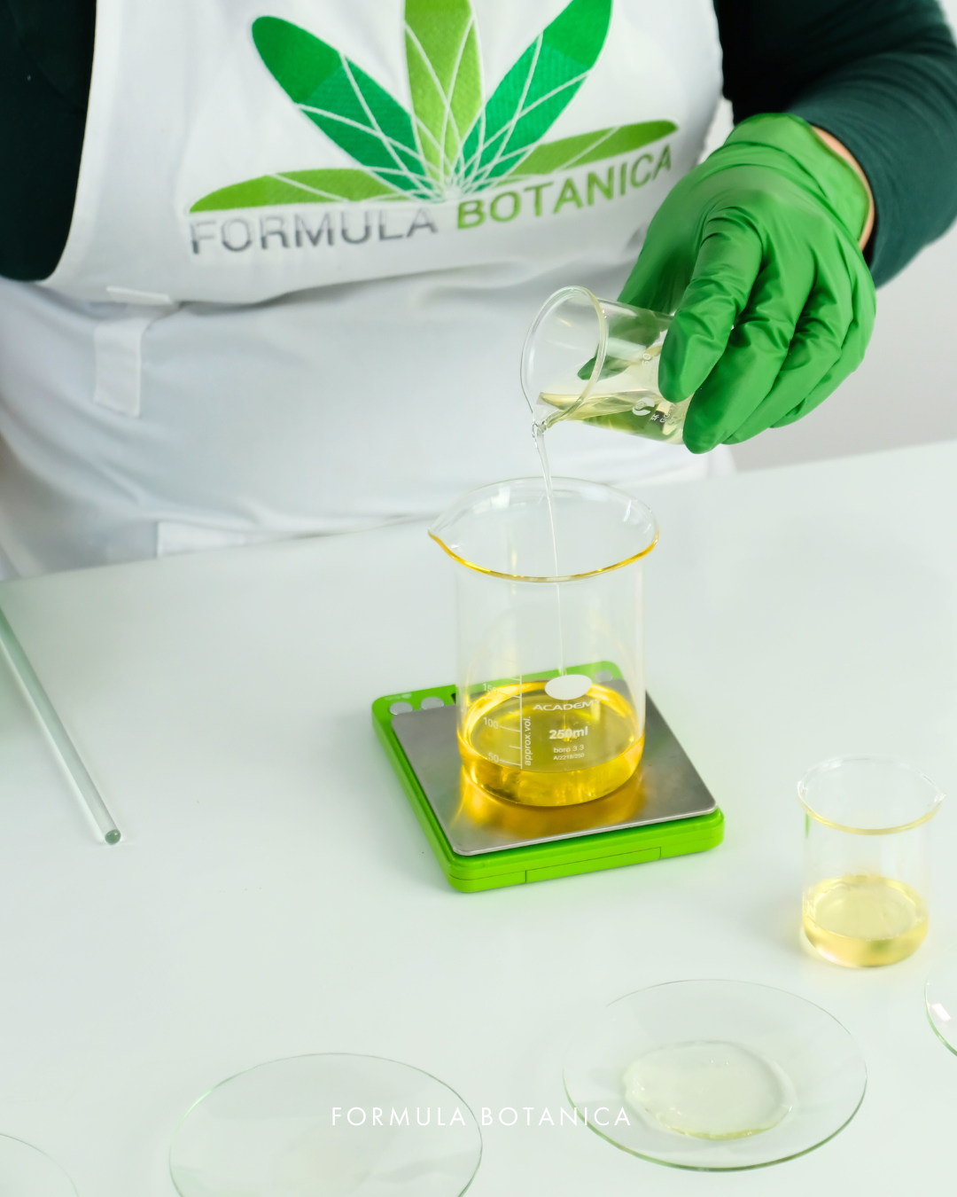 How to make a nourishing camellia cleansing oil