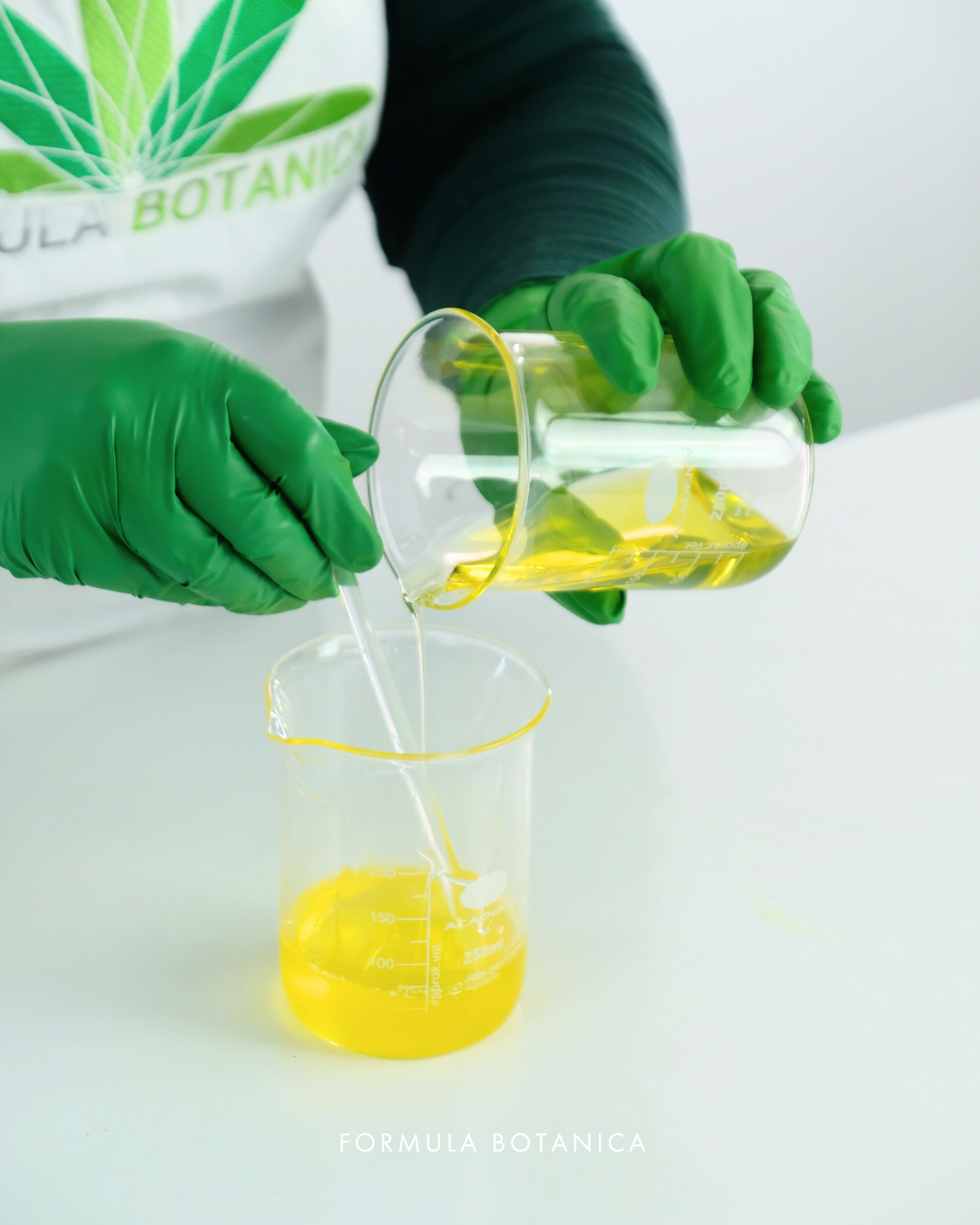 How to make a nourishing camellia cleansing oil