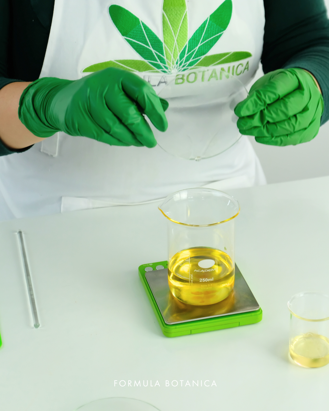 How to make a nourishing camellia cleansing oil