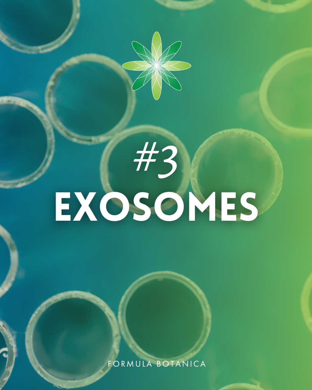 Top 7 cosmetic ingredients predictions for 2026 – Your expert guide