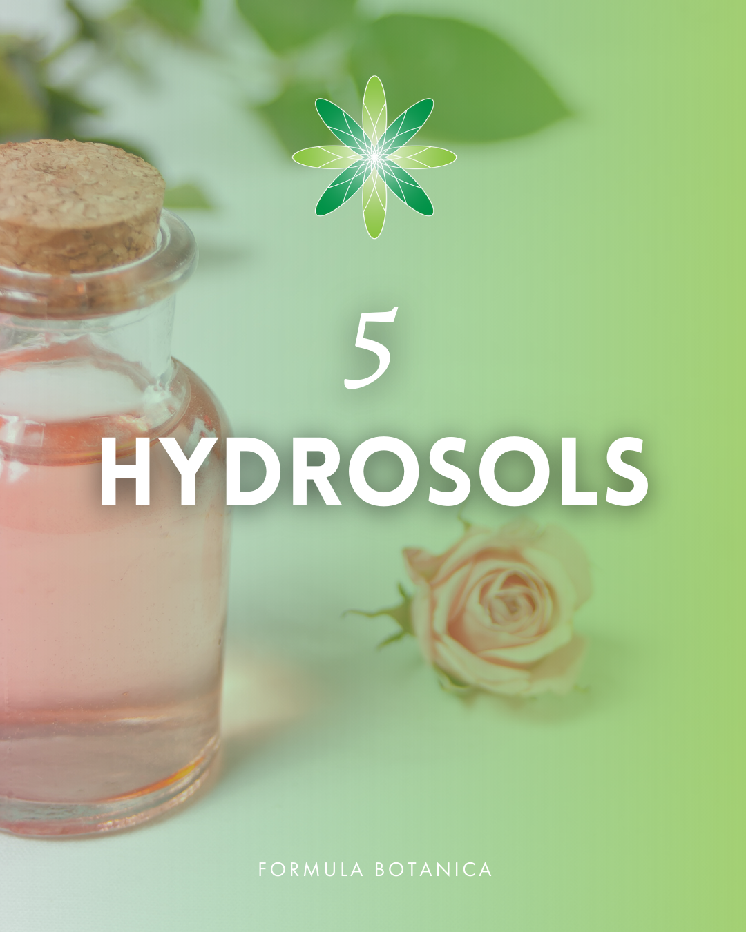 Natural formulation 101: Beginner’s guide to skincare ingredients