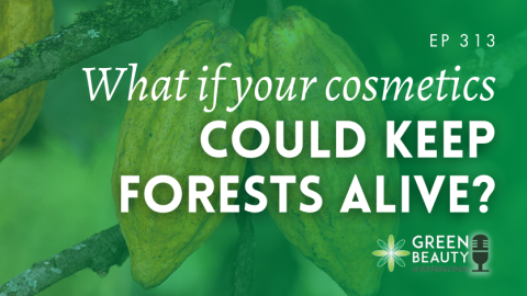 Podcast 313: What if your cosmetics could keep forests alive?